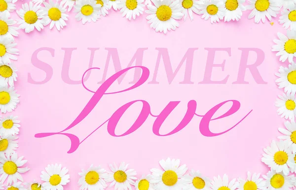 Amor Verão Escrito Sobre Fundo Rosa Emoldurado Com Margaridas Brancas — Fotografia de Stock