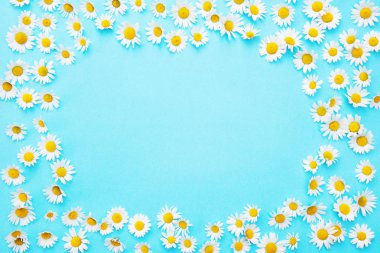 çerçeveli arka plan mavi ile beyaz güzel papatyalar