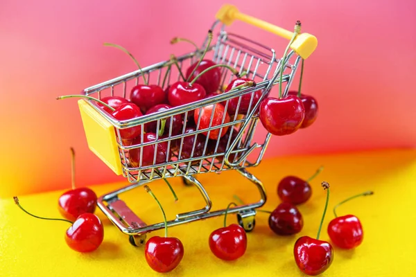 Mini Shoppingcart Red Ripe Cherries Pink Yellow Background — Stock Photo, Image