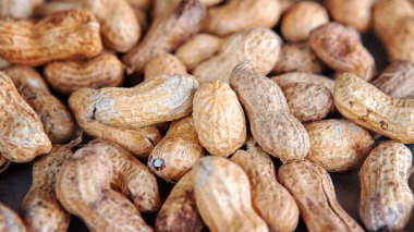 fıstık nutshells ile bir grup portre