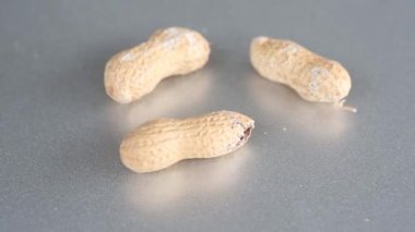 Grup nutshells dönen bir plaka ile fıstık
