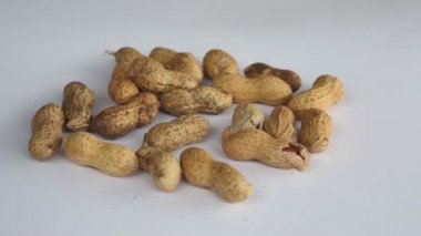 fıstık ile nutshells dönen bir plaka üzerinde bir grup portre
