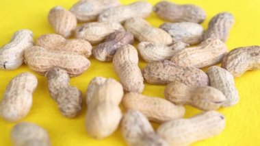 fıstık nutshells plaka dönen bir sarı ile bir grup portre
