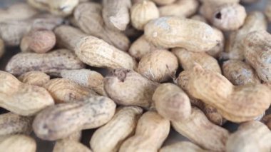 fıstık ile nutshells dönen bir plaka üzerinde bir grup portre