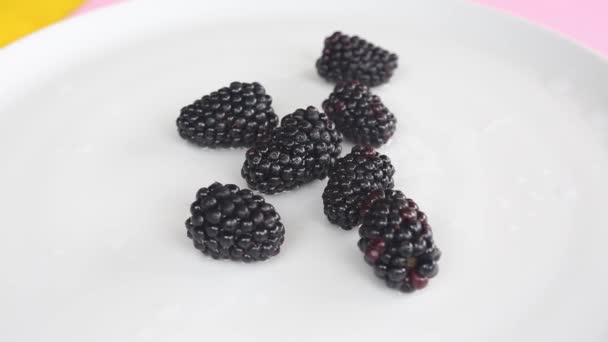 Closeup Blackberries White Rotating Plate — Stock Video