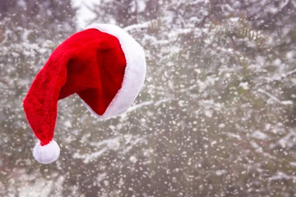 Fluffy Red Santa Hat Hanging Tree Snow — Stock Photo, Image