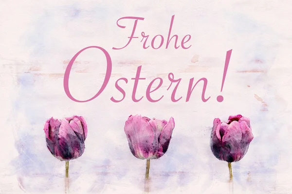 행복 한 부활절에 대 한 세 보라색 튤립과 독일어 단어 — 스톡 사진