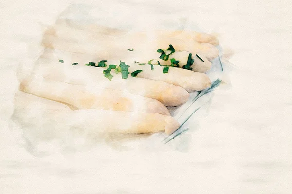 수채화의 아스파라거스와 접시 — 스톡 사진
