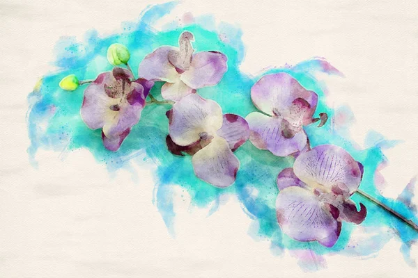 Fioletowy Orchidea na niebieskim tle w akwarele — Zdjęcie stockowe