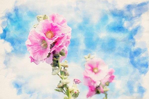 수채화의 홀리호크와 푸른 하늘 — 스톡 사진