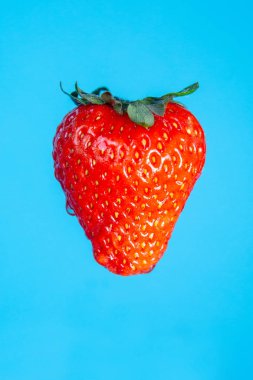 mavi arka plan ile olgun çilek