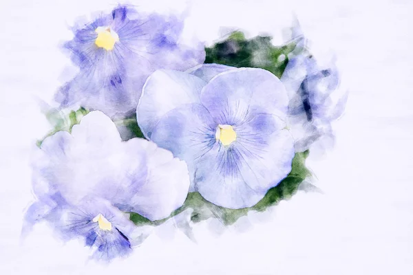 Close-up of beautiful blue pansies — Stock Image Close-up of beautiful blue pansies Stock Photo