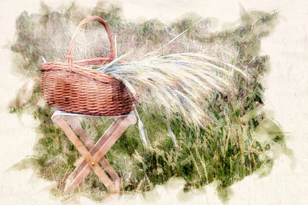 Cesto con grano sullo sgabello davanti al campo di grano — Foto Stock