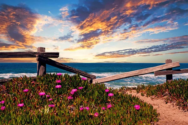 View of the ocean with wildflowers and wooden fence — Stock Photo, Image