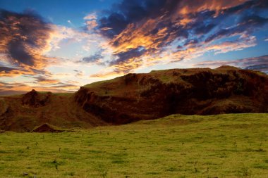 güneşin doğuşunda gür yeşil tarım arazisi görünümü