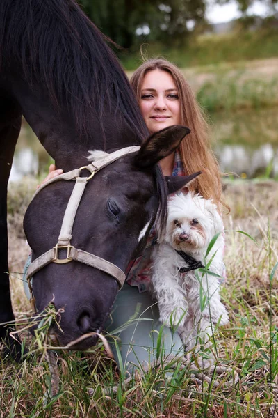 Young woman with her horse and her little dog — Stock Photo, Image