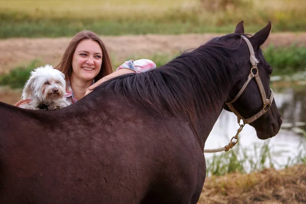 Young woman with her little dog and horse — Stock Photo, Image