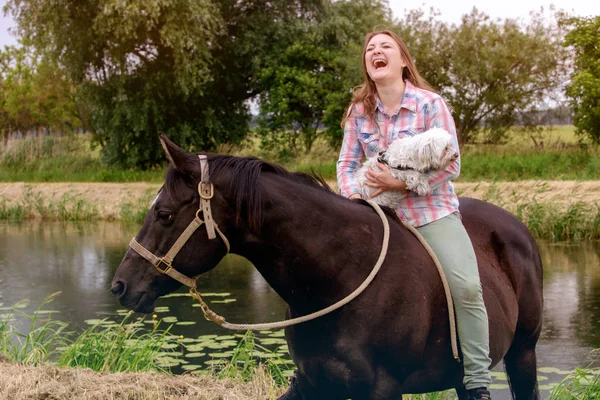 Young laughing woman with her horse and her little dog — Stock Photo, Image