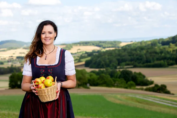 Mujer en dirndl de pie en el prado y sosteniendo una cesta de manzana —  Fotos de Stock