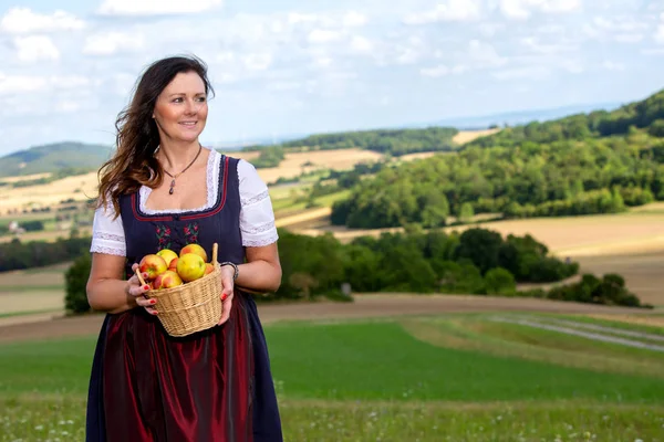Dirndl içinde kadın çayırda duran ve elma bir sepet tutan — Stok fotoğraf