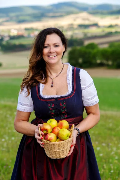 Frau im Dirndl steht auf Wiese und hält Apfelkorb in der Hand — Stockfoto