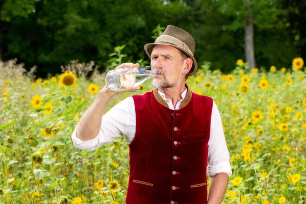 Bayerischer Mann steht auf Sonnenblumenfeld und trinkt Wasser — Stockfoto