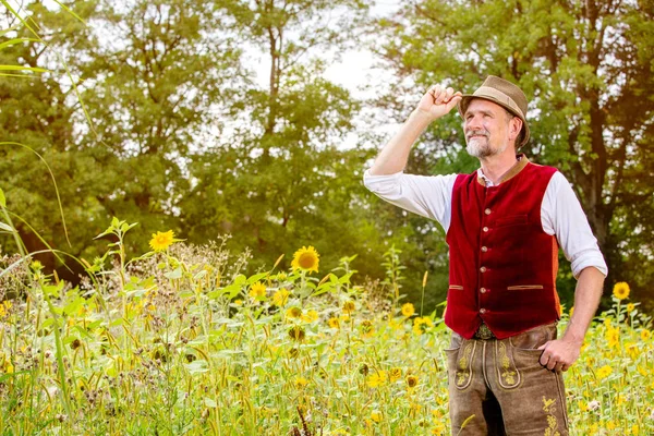 Handsome bavarian man in his 50s standing in a field of sunflowe — Stock Photo, Image