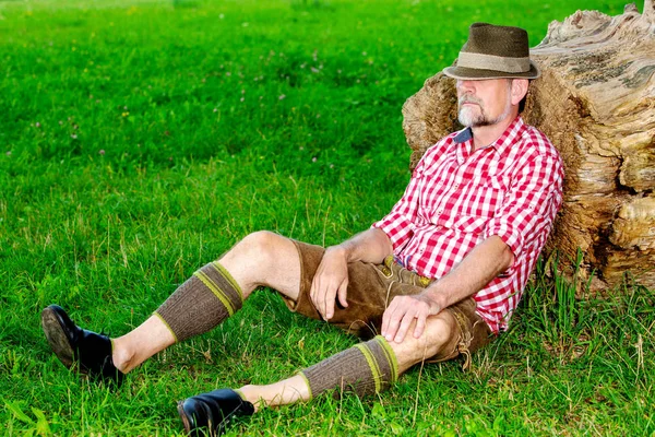 Bavarian man sitting outdoors at tree stump and sleeping — Stock Photo, Image