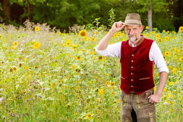 Stilig bayerska mannen i 50-talet stående i ett fält av sunflowe — Stockfoto