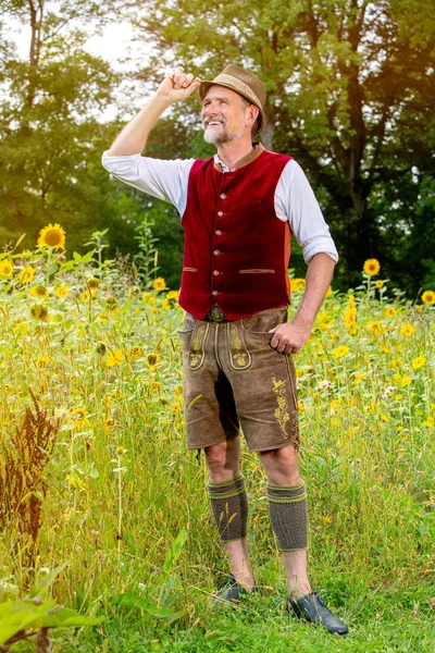 Schöner bayerischer Mann um die 50, der in einem Sonnenblumenfeld steht — Stockfoto