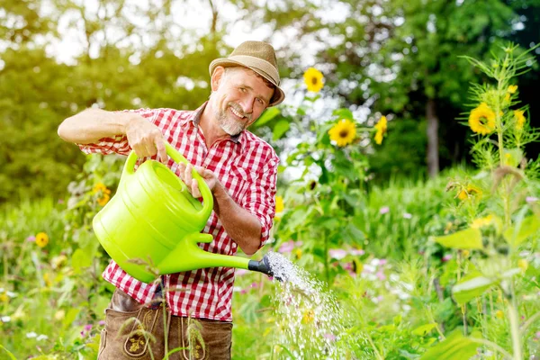 Bavarese bavarese bello in piedi nel giardino e annaffiare il fl — Foto Stock