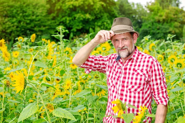 Bonito bavarian homem em seus 50 anos de pé em um campo de sunflowe — Fotografia de Stock