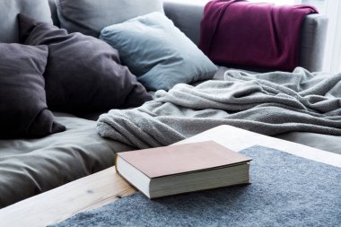 Oturma odasındaki kanepenin yanında.