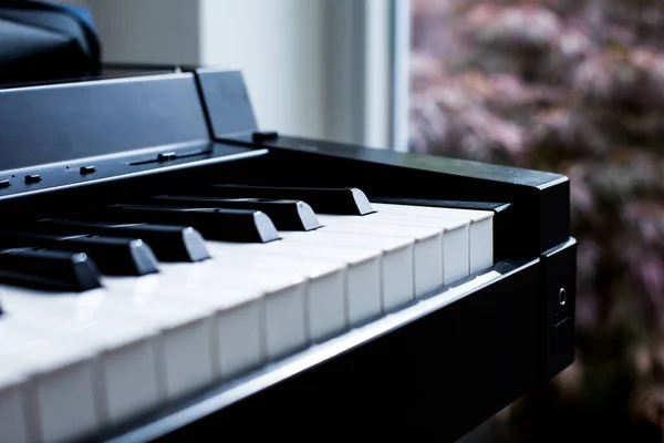 Bir Piyanonun Klavyesini Kapat — Stok fotoğraf
