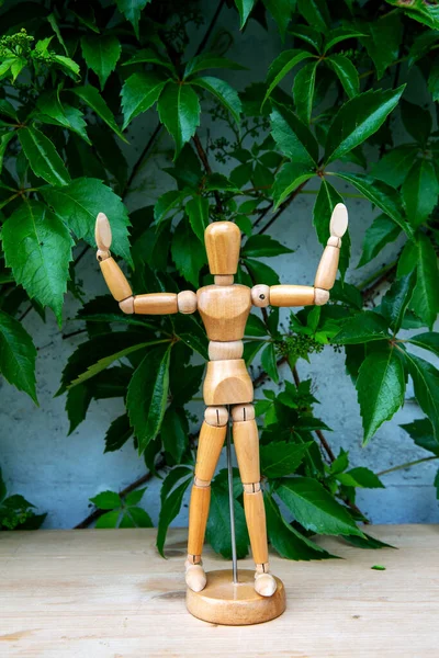 Ssmall Wooden Figure Arms Lifted Standing Next Grey Wall Plant — Stock Photo, Image