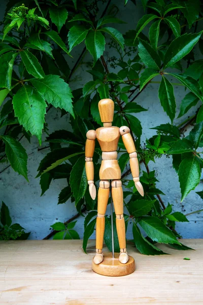 Liten Träfigur Står Framför Grå Vägg Och Planta — Stockfoto