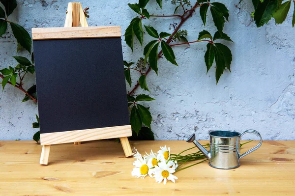 Klein Schoolbord Houten Tafel Met Madeliefjes Miniatuur Gieter — Stockfoto