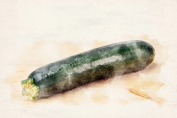 Eine Zucchini Auf Dem Tisch Aquarellen — Stockfoto