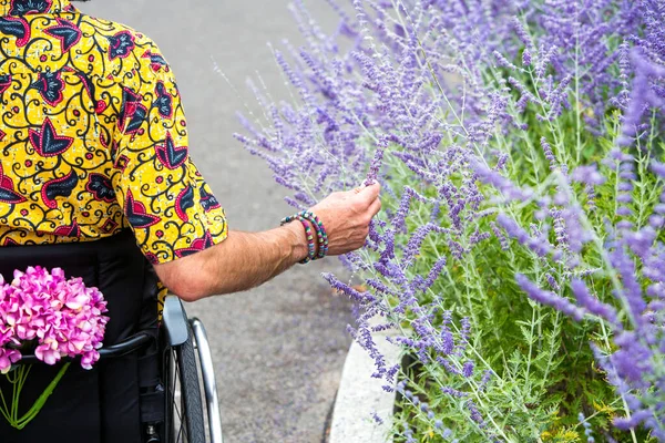 Homem Camisa Colorida Sentado Uma Cadeira Rodas Tocando Flores Livre — Fotografia de Stock