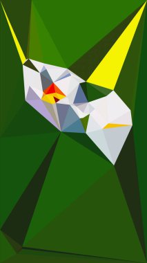 Parlak geometrik soyutlama çokgeni