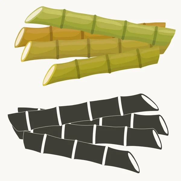 Set de caña de azúcar. Planta de caña, tallo de cosecha de caña de azúcar, planta y hojas, tallo ingrediente de azúcar. Vector — Vector de stock