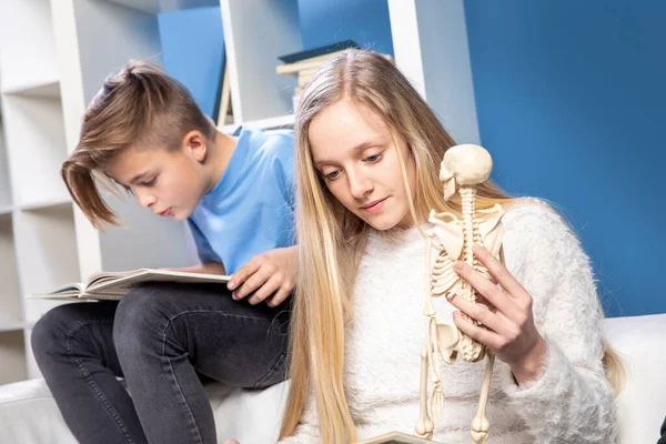 Fratello Sorella Fanno Compiti Casa Imparano Scuola — Foto Stock