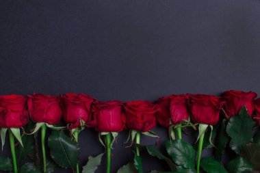 Balck arkaplanının sağ tarafında kırmızı güller, kopyalama alanı ile.