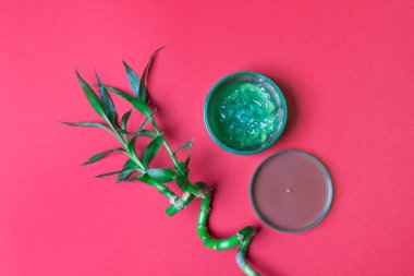 Kırmızı renkli kağıtta aloe vera losyonu ve bambuyla açılmış kavanoz. en üstteki görünüm.