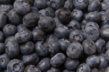 Yaban mersini düzlüğü. tatlı böğürtlen üst manzara.