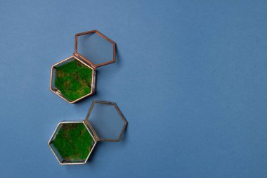 Mavi zemin üzerinde yeşillik olan cam mücevher kutuları, kopya alanı olan üst görünüm.