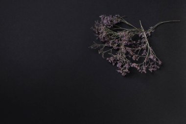 Kopya alanı olan siyah arkaplan üzerindeki çiçek dalı.