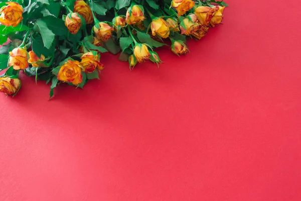 bouquet of roses in a corner of red colored paper background with shadows and copy space.