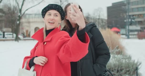 Primer Plano Retrato Dos Chicas Alegres Jóvenes Divirtiéndose Haciendo Selfie — Vídeo de stock