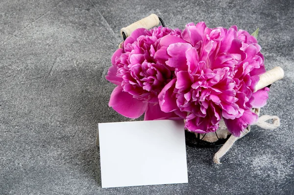 Sepet Pembe Peonies Boş Yakın Gri Üzerine Dokulu Arka Plan — Stok fotoğraf